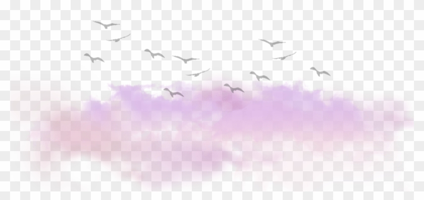 Clouds Cloud Birds Tumblr Kawaii Ftestickers - Clouds With Birds Png Clipart #1254858