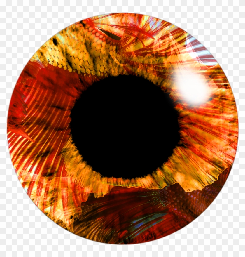 Eye Lenses Png By Me - Picsart Png I Lens Clipart