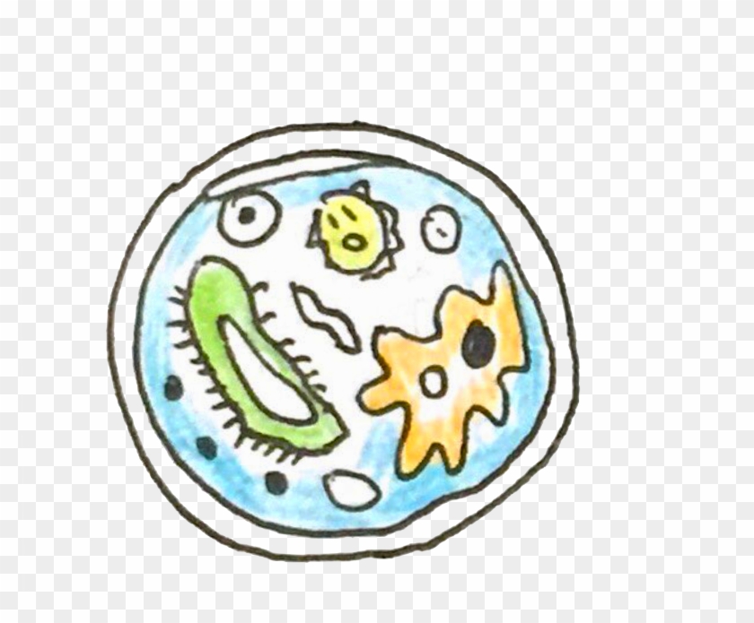 Collaboration - Circle Clipart