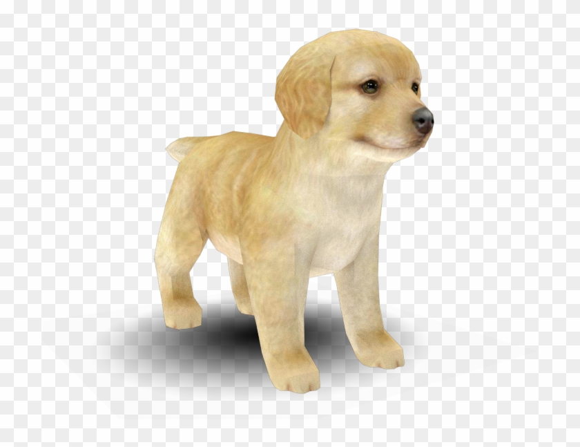 Golden Retriever Png - Nintendogs Golden Retriever Clipart #1257857