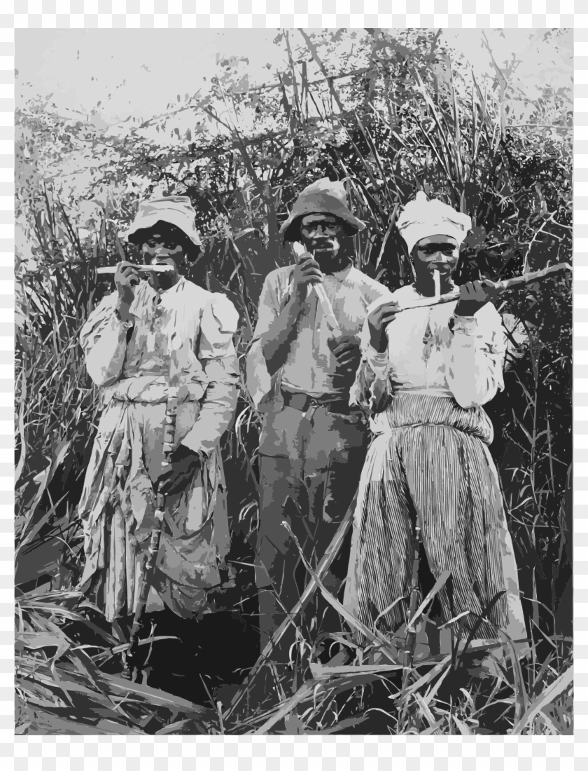 This Free Icons Png Design Of Cane Cutters In Jamaica Clipart