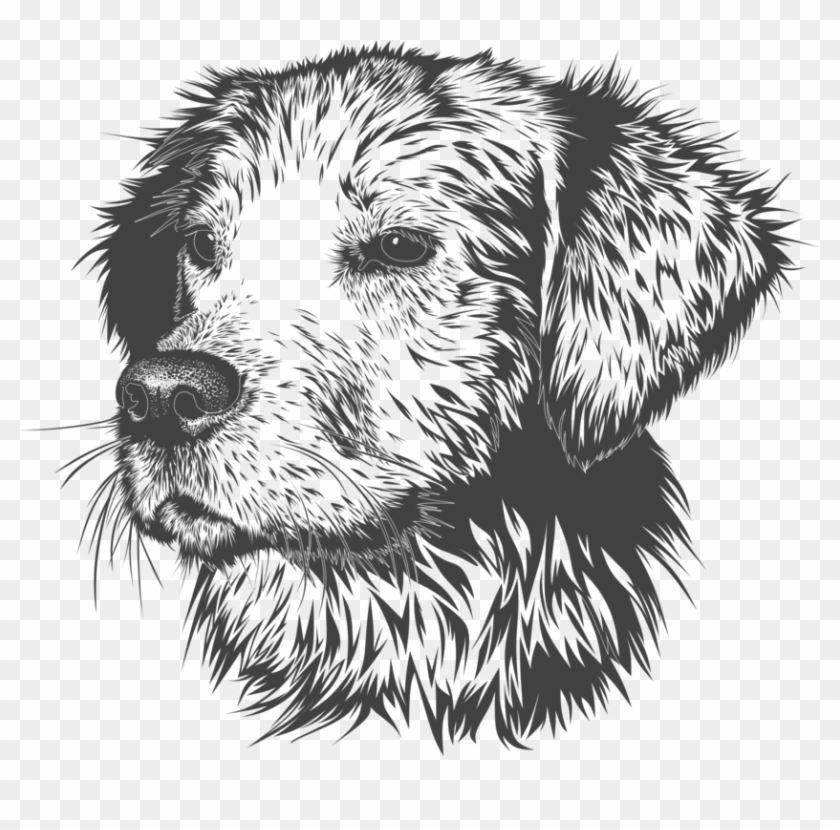 Golden Retriever Labrador Retriever Puppy Drawing - Animal Head Vector Black And White Clipart