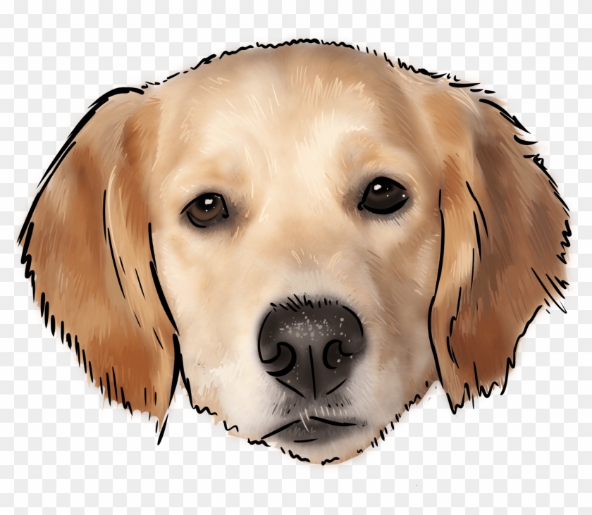 51 Why Are You A Golden Retriever - Golden Retriever Clipart #1258263