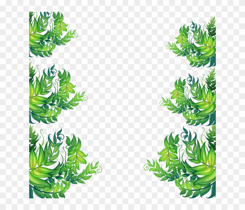 640 X 640 9 - Vector Tropical Frame Free Clipart
