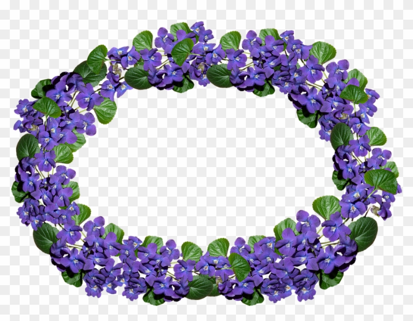 Flowers, Violets, Arrangement, Frame, Border, Perfume - Delphinium Clipart