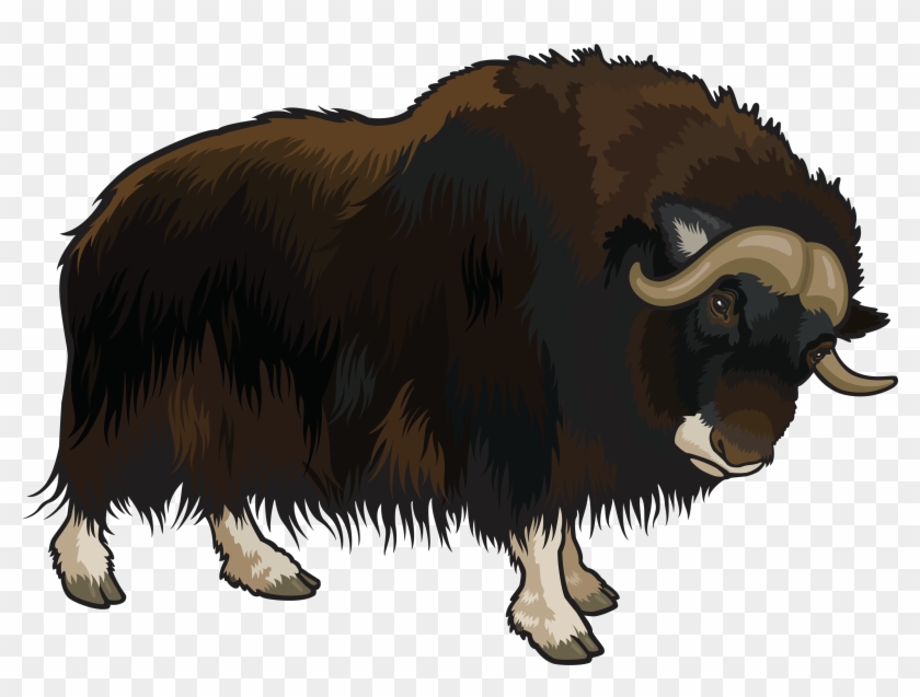 Buffalo Png Clipart - Buffalo Clipart Png Transparent Png #1258923