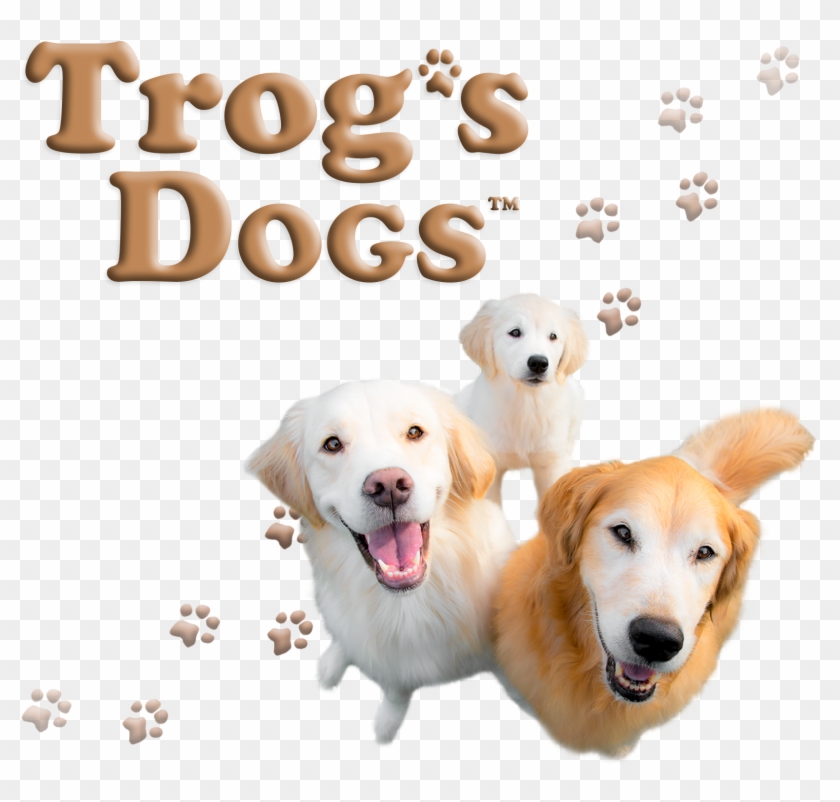 Labrador Retriever Clipart #1258924