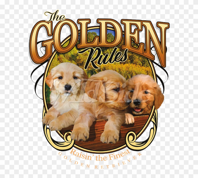 Dog Catches Something Clipart #1259150