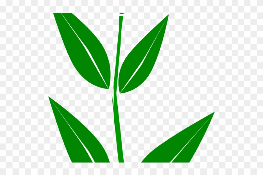 Clip Art - Png Download #1259186