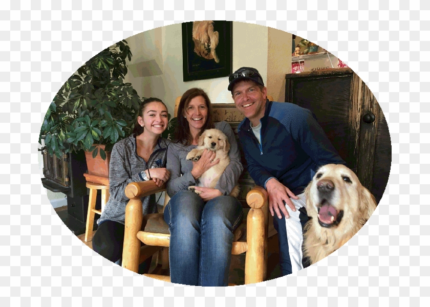 Sound Golden Retrievers" - Golden Retriever Clipart