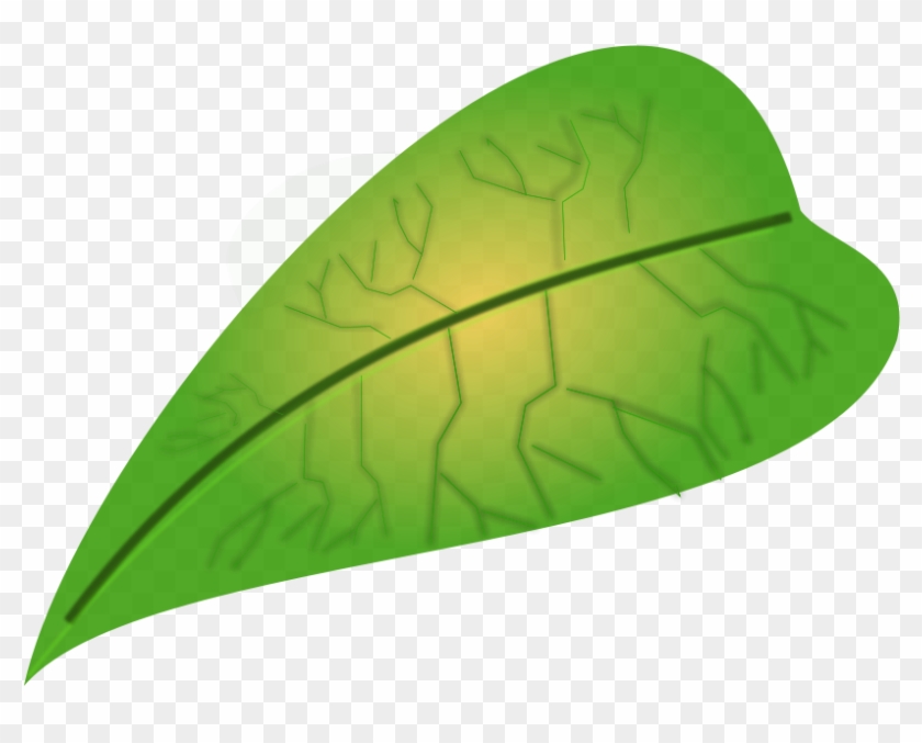 Jungle Leaves Clip Art - Apple Leaves Clip Art - Png Download #1259521