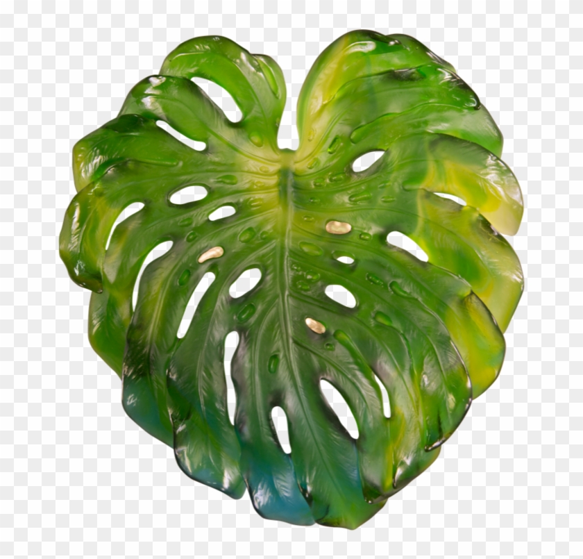 Tropical Green Png - Monstera Png Clipart #1259947