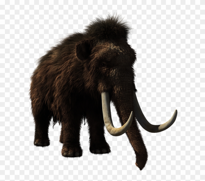 Baby Elephant - Woolly Mammoth Clipart #1260134