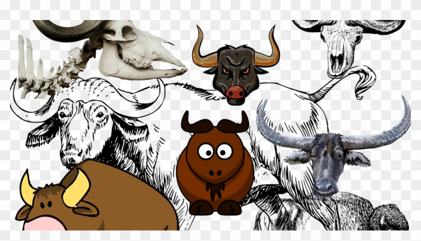 The Story Of Buffalo Buffalo Buffalo Buffalo Buffalo - Water Buffalo Clipart