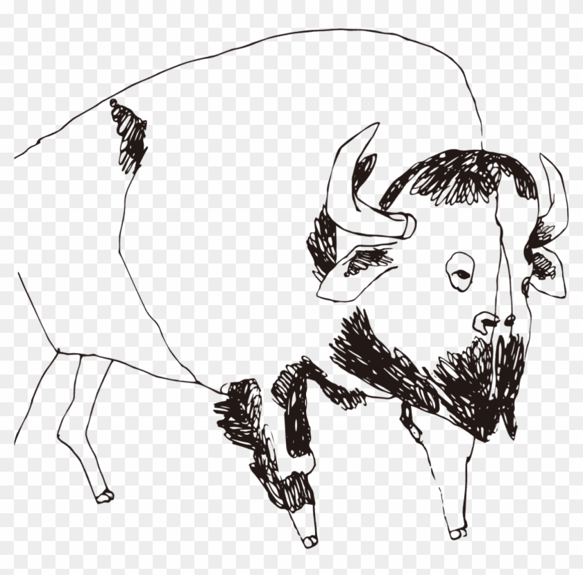 Buffalo - Sketch Clipart