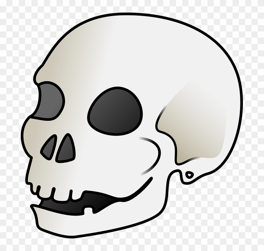 Skull Bone Clipart - Skull Clip Art - Png Download