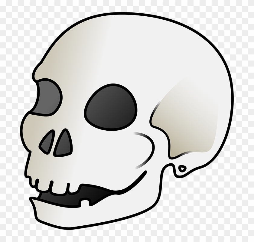 Skull Bone Clipart - Skull Clip Art - Png Download #1262597