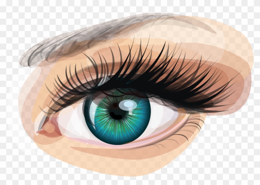 Human Eye Euclidean Vector Clip Art - 冷酷 的 眼睛 - Png Download