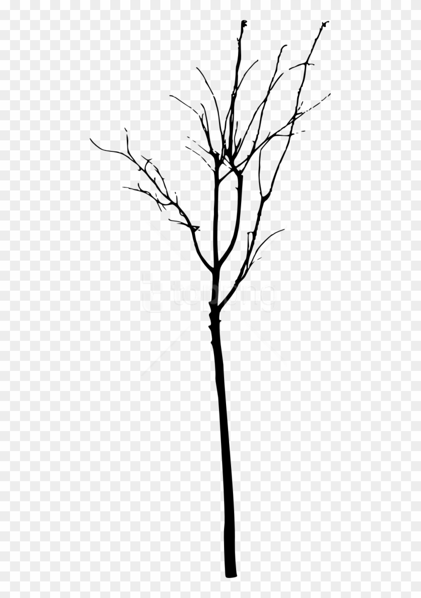 Free Png Simple Bare Tree Silhouette Png Images Transparent - Simple Tree Silhouette Clipart