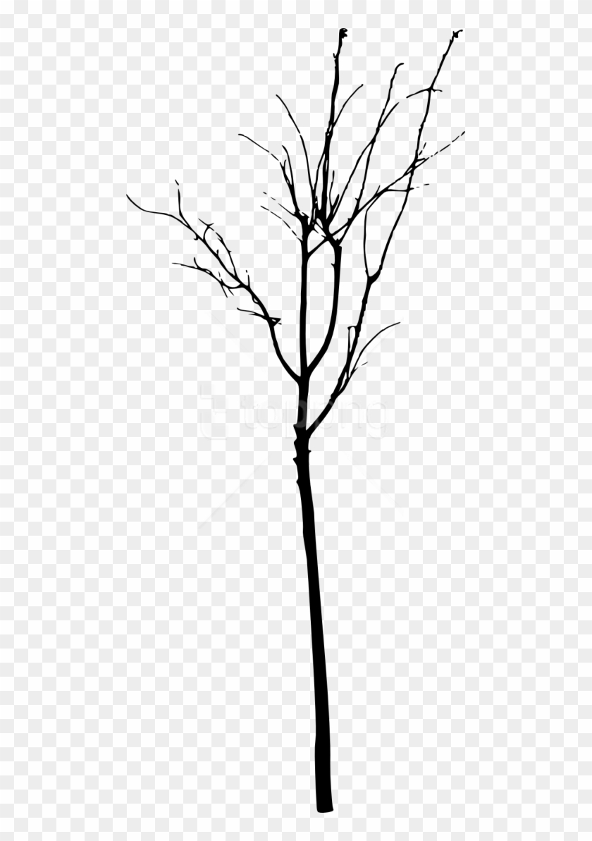 Free Png Simple Bare Tree Silhouette Png Images Transparent - Simple Tree Silhouette Clipart #1262993