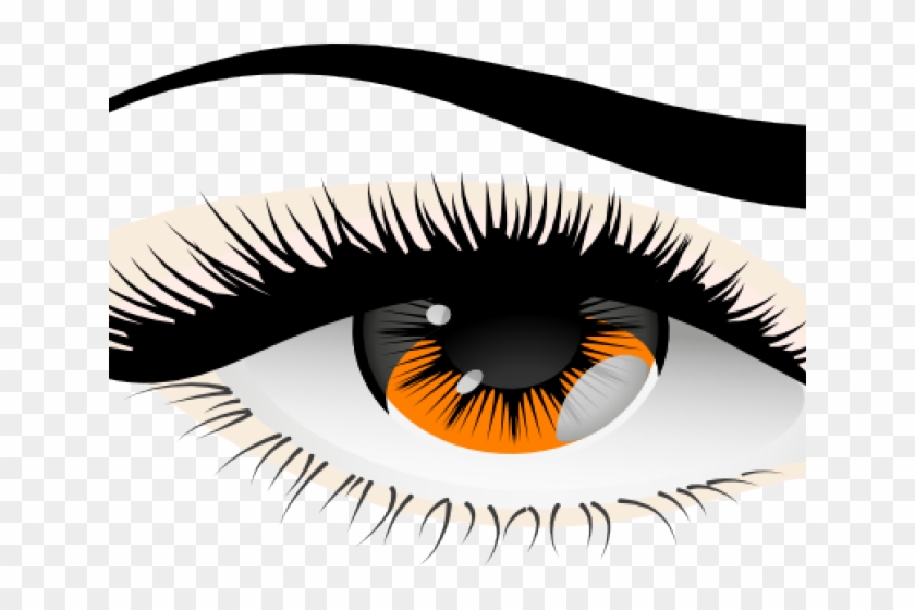 Brown Eyes Clipart Human Eye - Transparent Background Png Lashes #1263056