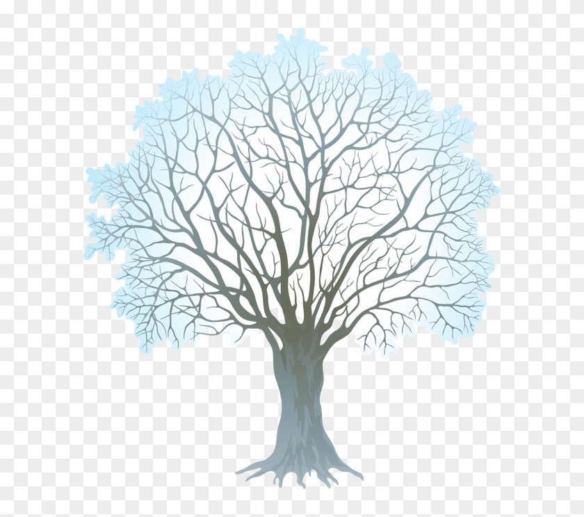 Stock Vector Winter Tree 330kb - Winter Tree Clipart Png Transparent Png