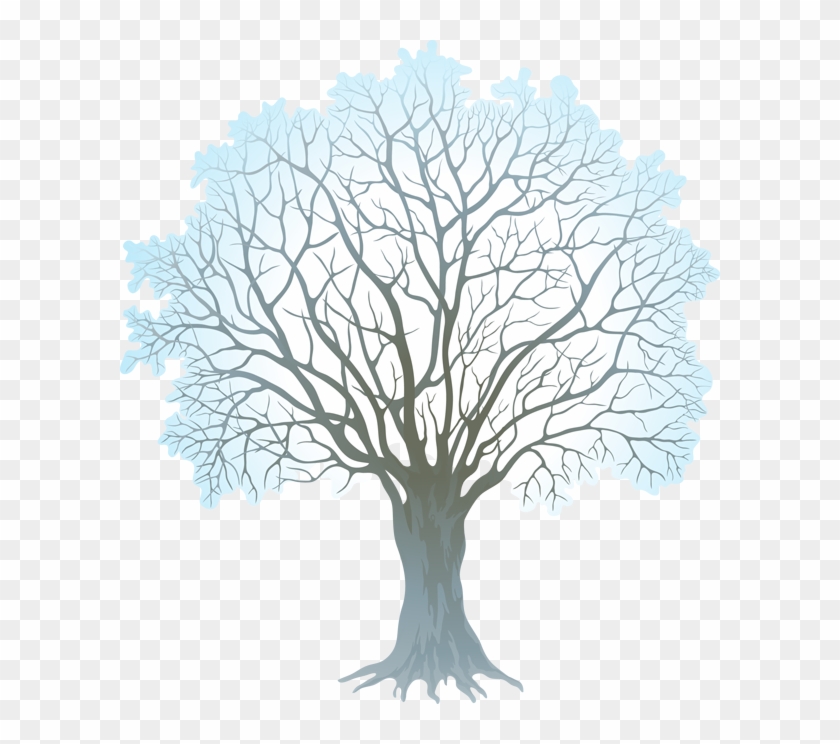 Stock Vector Winter Tree 330kb - Winter Tree Clipart Png Transparent Png #1263081