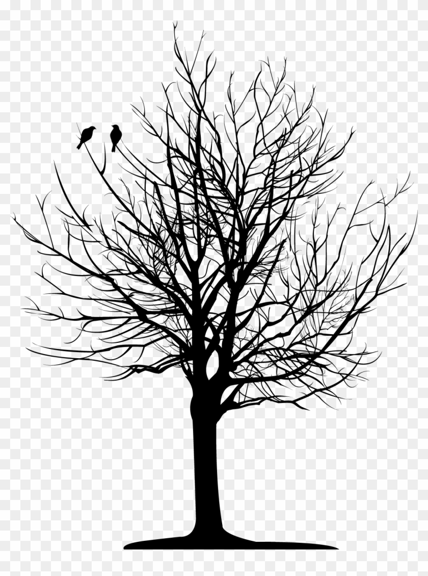 Bare Tree , Png Download - Bare Trees Black And White Clipart #1263331