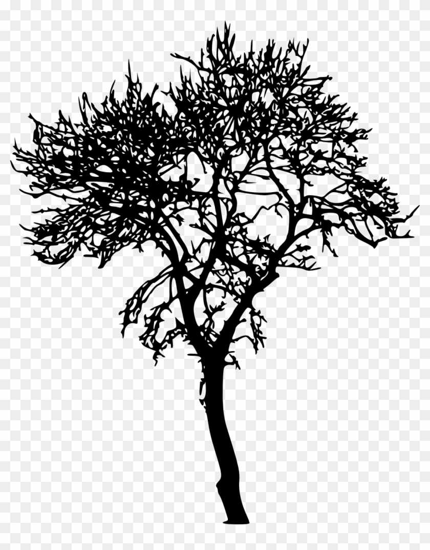 Jungle Tree Silhouette Transparent Clipart