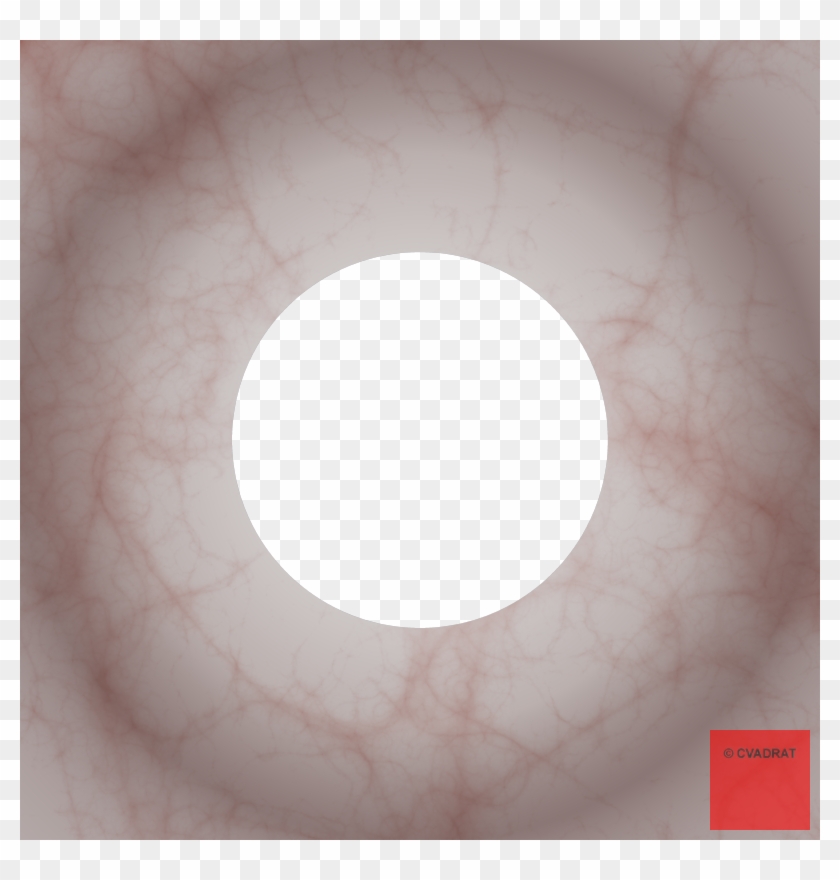 Click For A Larger Image, File And Ordering Information - Circle Clipart