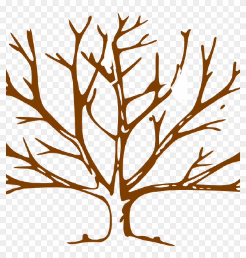Draw A Tree With Snow Clipart