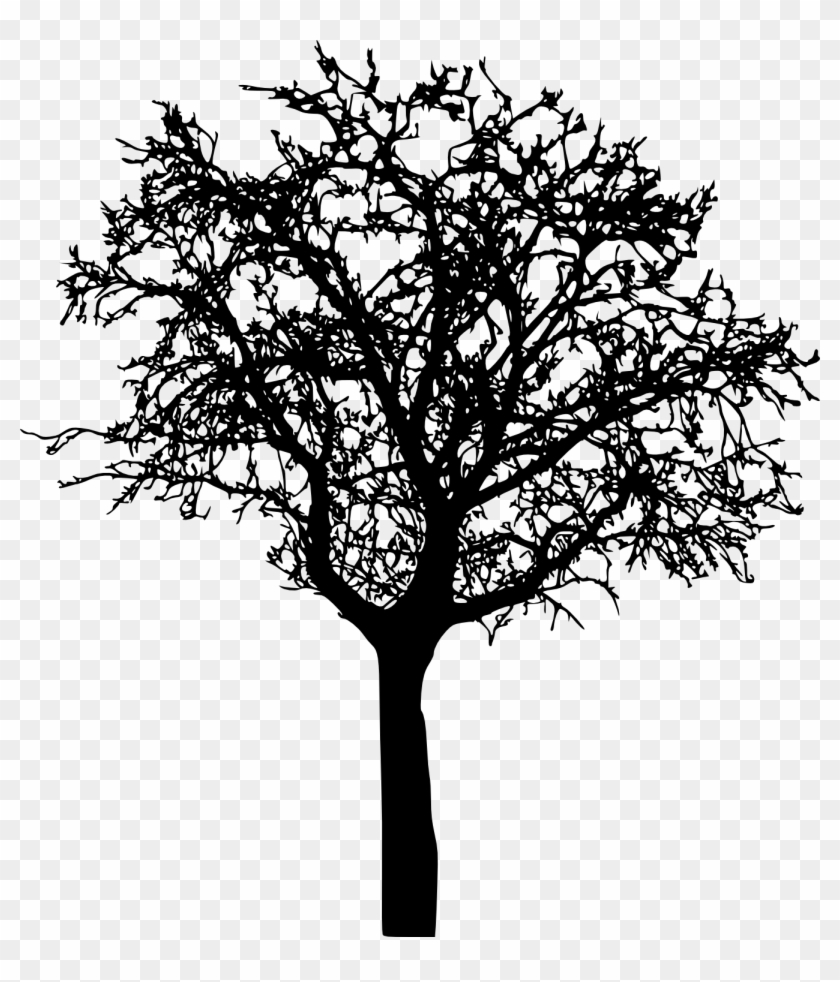 18 Bare Tree Silhouette Png Transparent Vol - Silhouette Barren Tree Clipart #1263874