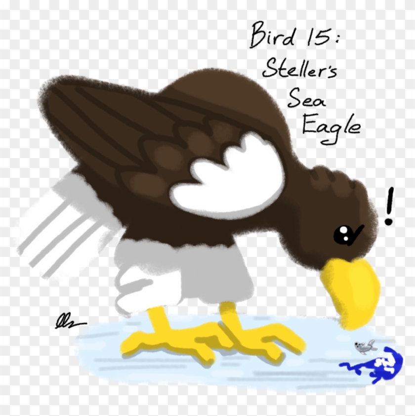 Stellers Sea Eagle Clipart Png - Cartoon Transparent Png