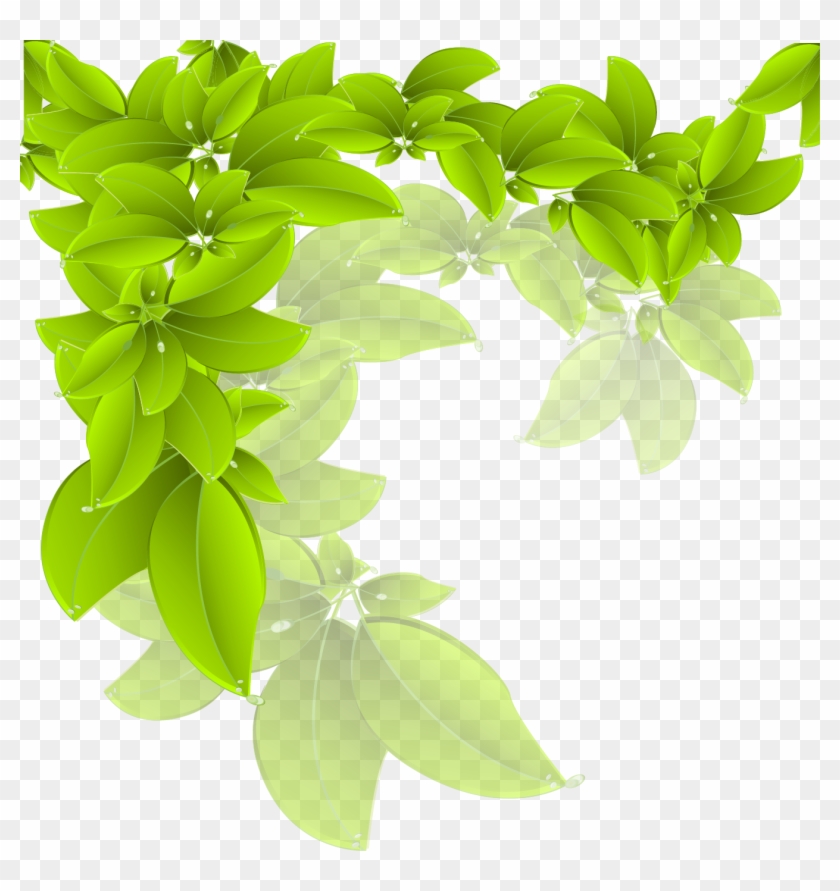 Branch Green Leaf - Leaves Vector Free Download Clipart #1264118
