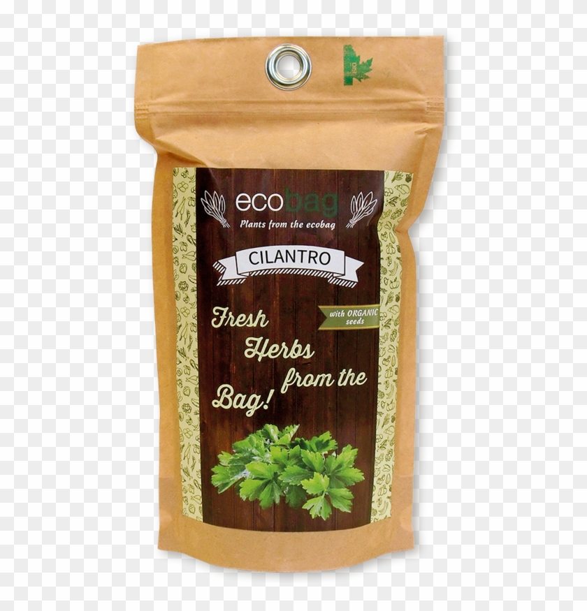 Cilantro Png Clipart