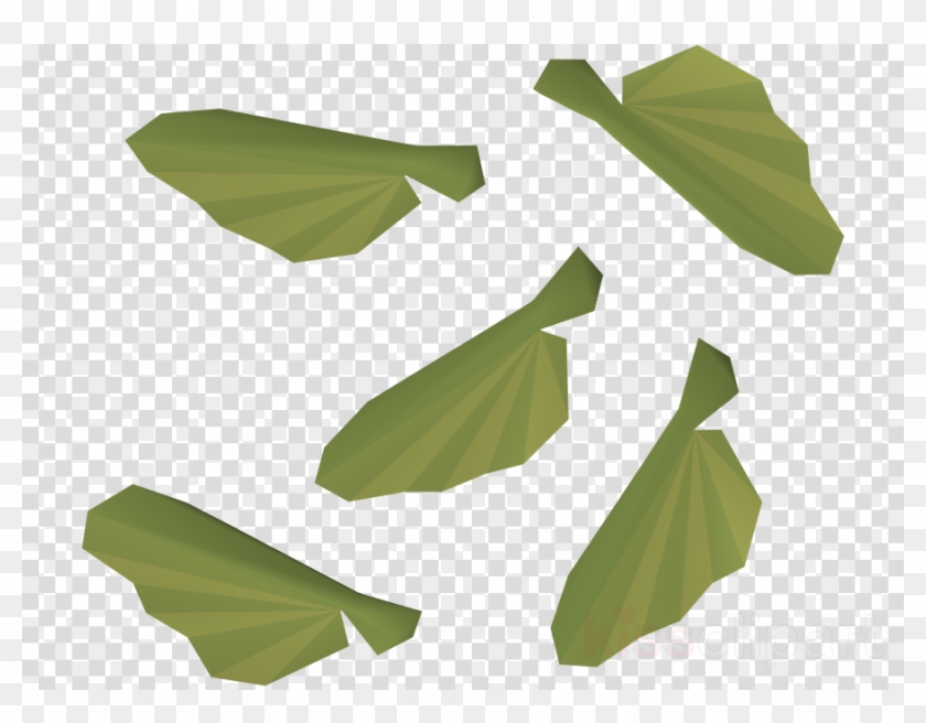 Banana Leaf Clipart Bigleaf Maple Old School Runescape - Shoes For Men Png Transparent Png #1265198