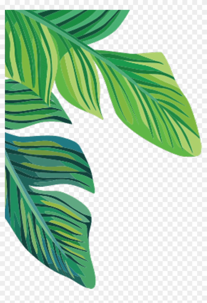 Tropical Plants Banana Leaves Freetoedit - Banana Leaf Transparent Background Clipart #1265318