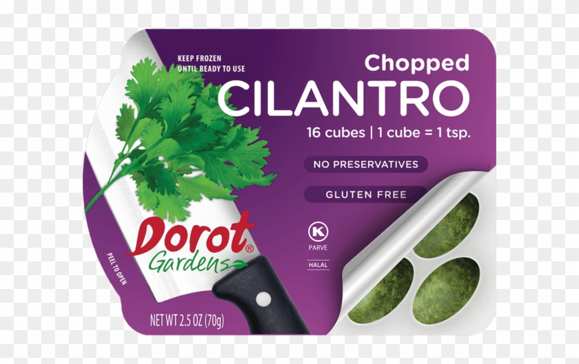 Dorot® Gardens Cilantro Offer - Herb Clipart