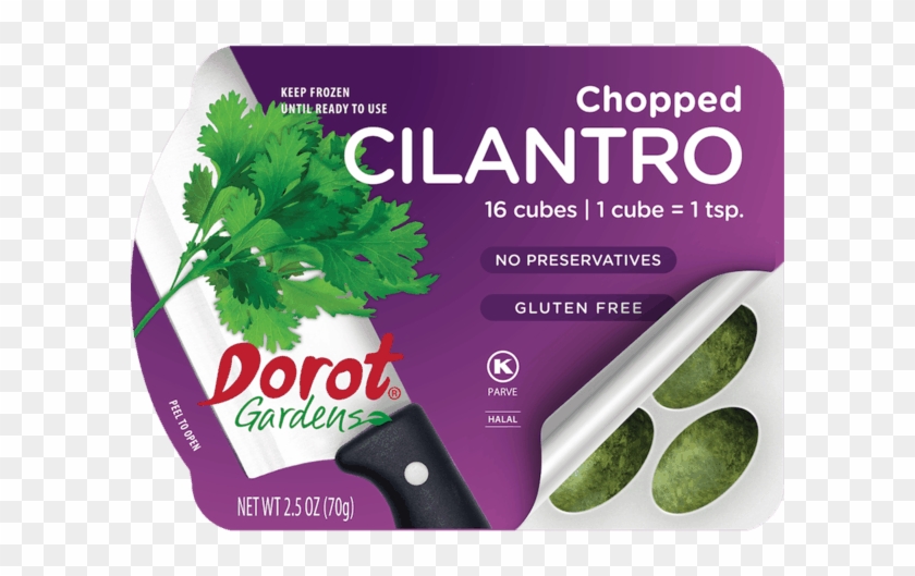 Dorot® Gardens Cilantro Offer - Herb Clipart #1265350
