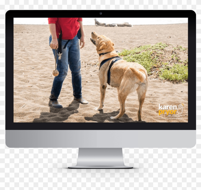 Image - Dicker Data Web Portal Customer Clipart #1265568