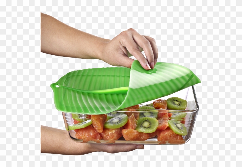 Terms And Conditions - Common Fig Clipart