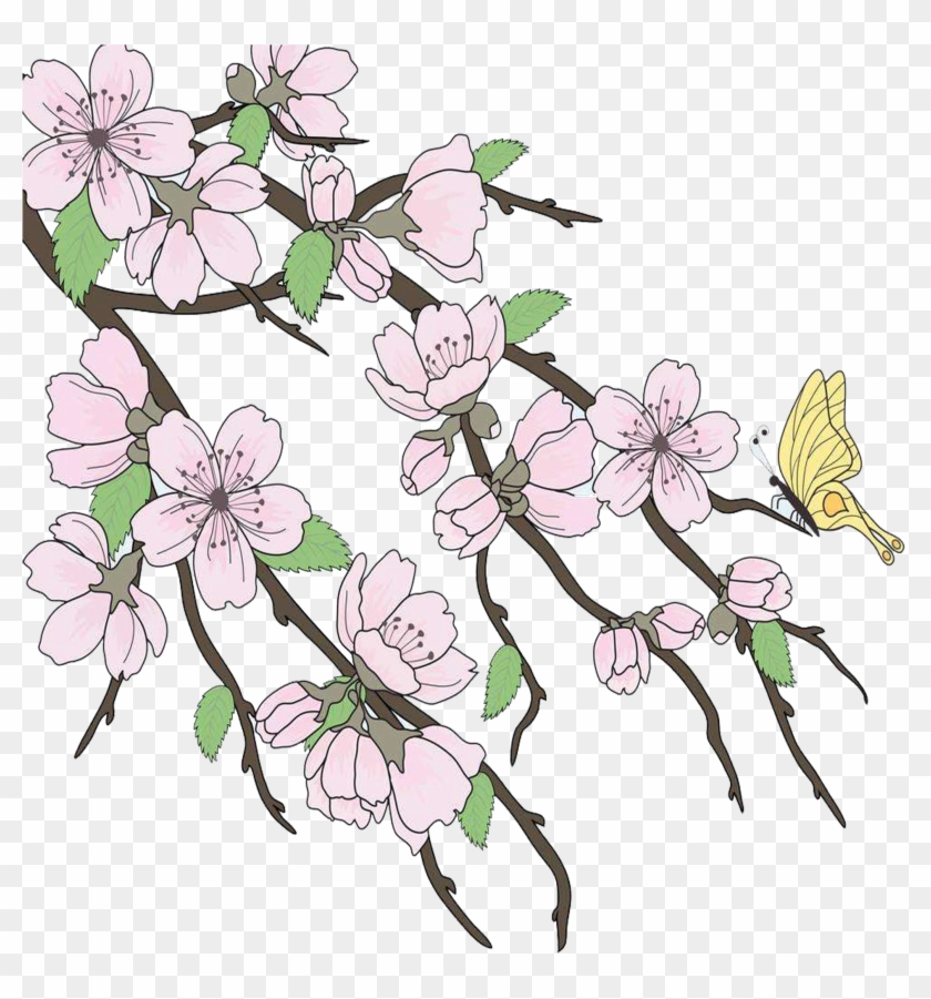 2362 X 2362 9 - Beautiful Drawings Branch Clipart