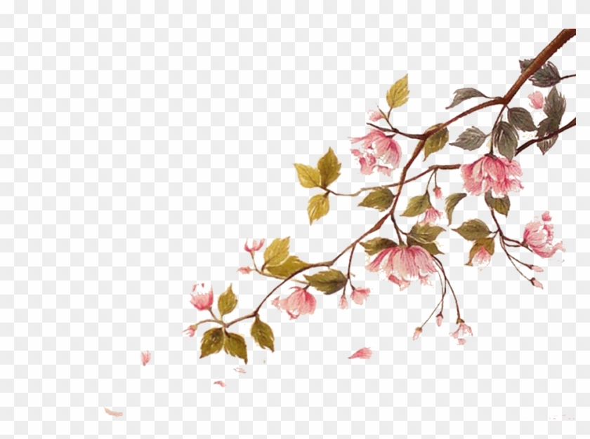 Cherry Blossom Watercolor Painting Ci - Water Color Cherry Blossom Png Clipart #1268106