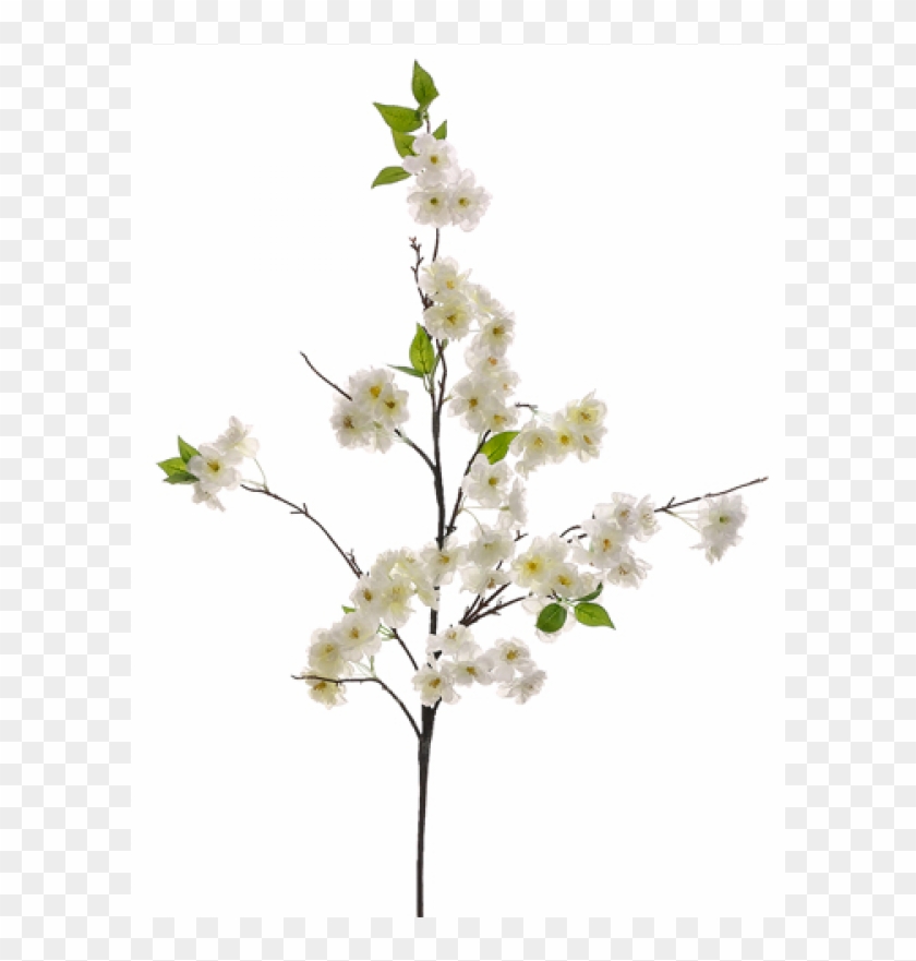 50" Cherry Blossom Spray White - Cherry Blossom Clipart