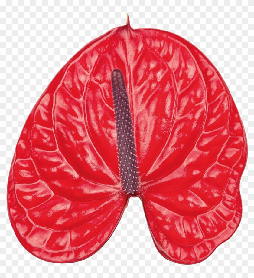 Bugatti Veyron Kwiat Clipart