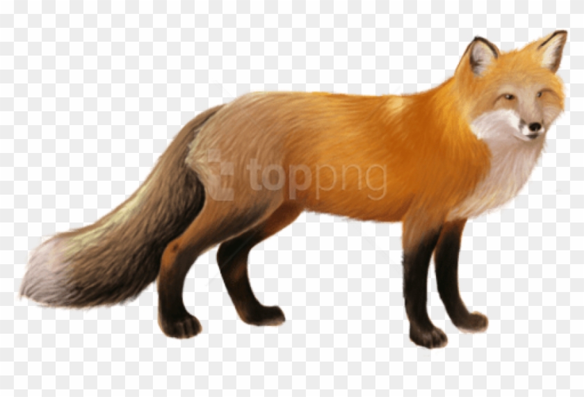 Free Png Download Fox Png Images Background Png Images - Fox Png Clipart #1269991