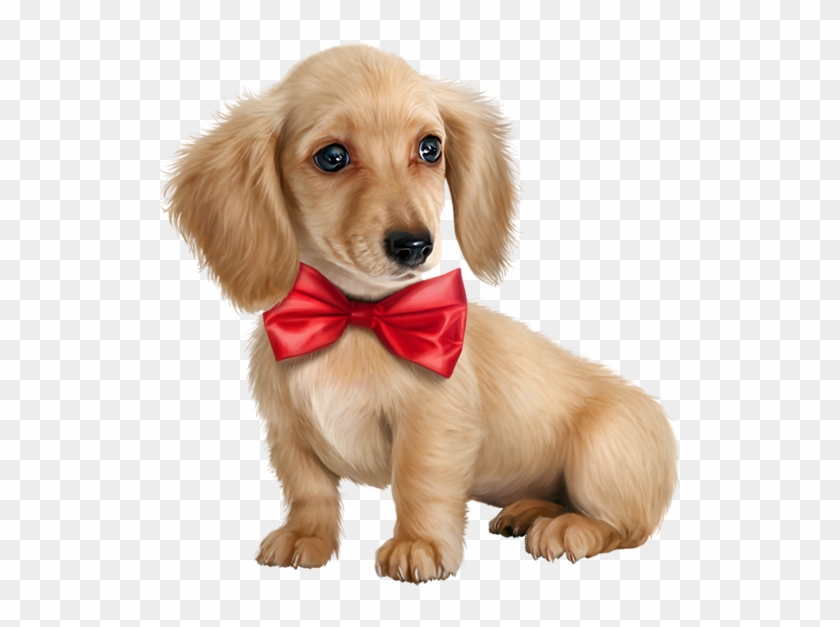 Cute Puppy Dogs - Cute Golden Compass Png Clipart