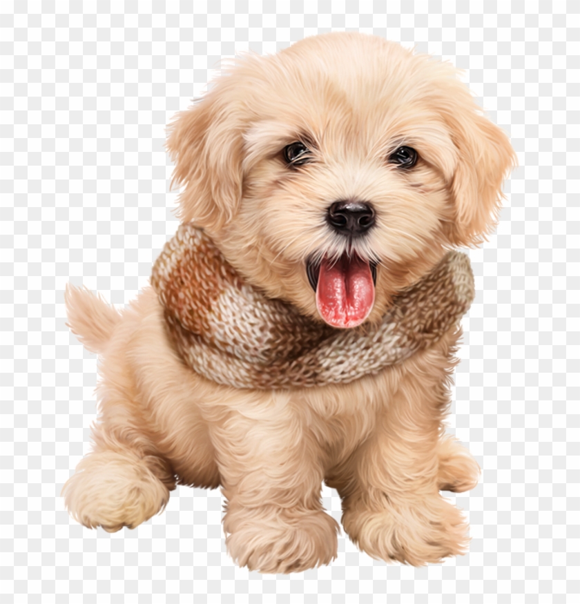 #cute #puppy #dog #adorable Clipart #1272209