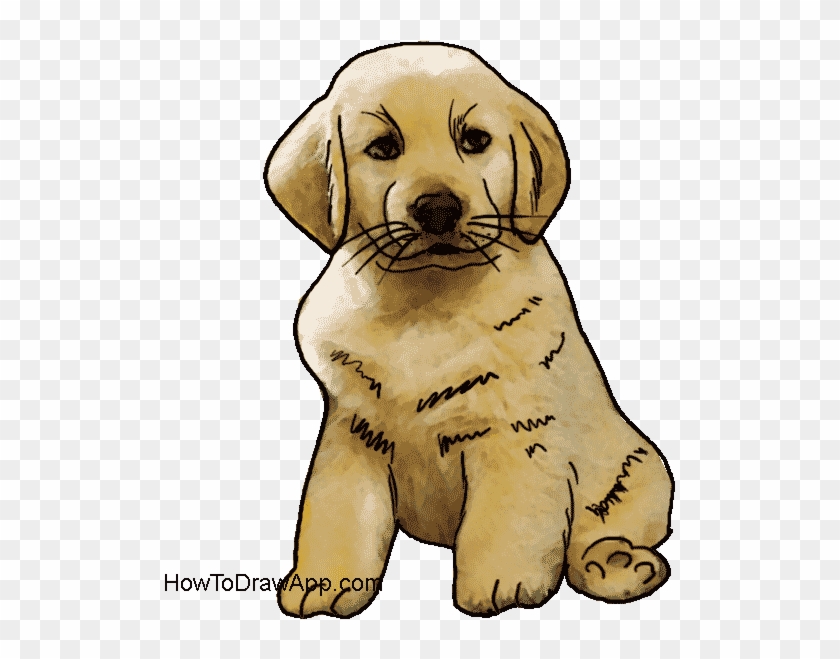 How To Draw A Cute Puppy Dog - Golden Retriever Clipart #1273043