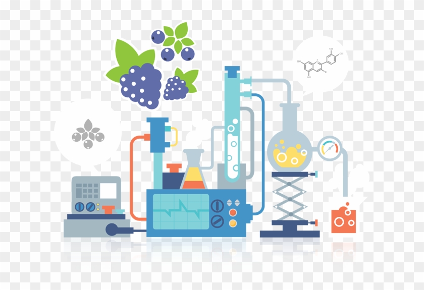 Graphic Exemplifying C3gs Medically Researched Benefits - Scienze Png Clipart #1273203